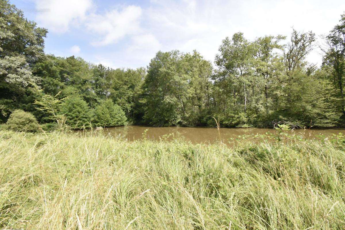 Terrain à COSNE-COURS-SUR-LOIRE