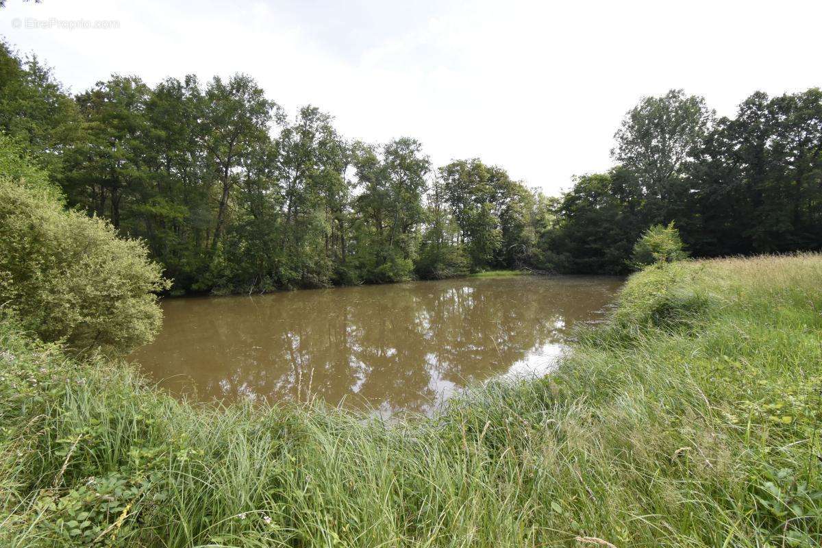 Terrain à COSNE-COURS-SUR-LOIRE