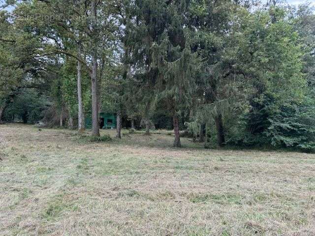 Terrain à COSNE-COURS-SUR-LOIRE