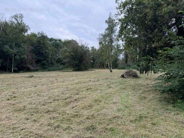 Terrain à COSNE-COURS-SUR-LOIRE