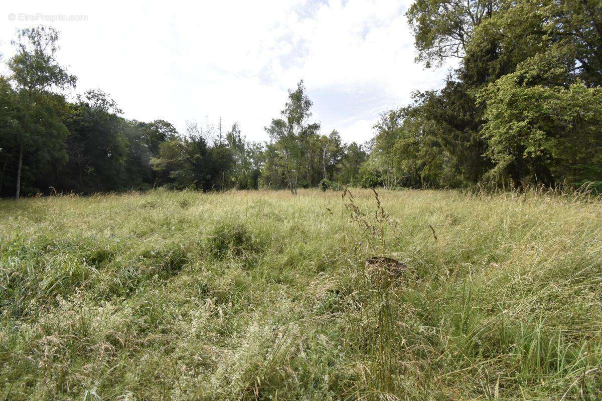 Terrain à COSNE-COURS-SUR-LOIRE