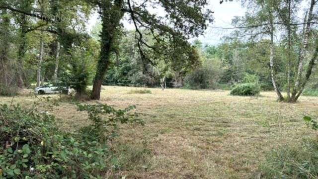 Terrain à COSNE-COURS-SUR-LOIRE