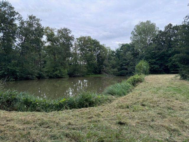 Terrain à COSNE-COURS-SUR-LOIRE