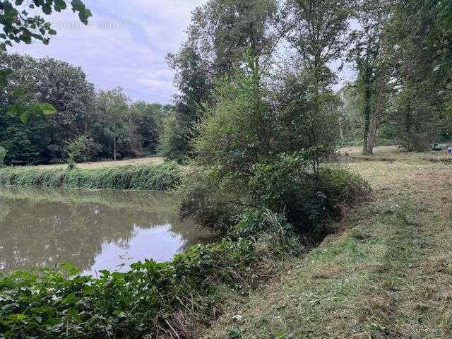 Terrain à COSNE-COURS-SUR-LOIRE