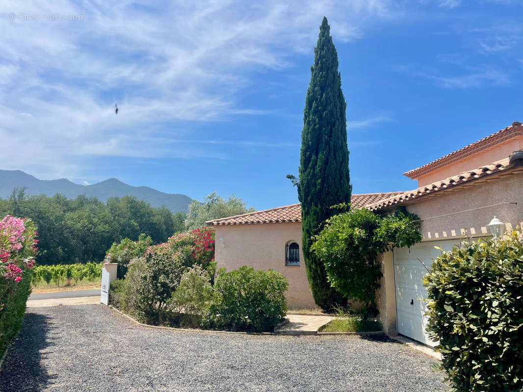 Maison à MONTESQUIEU-DES-ALBERES