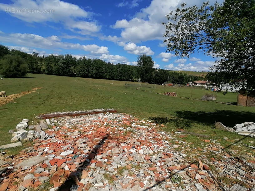 Terrain à MOISSAC