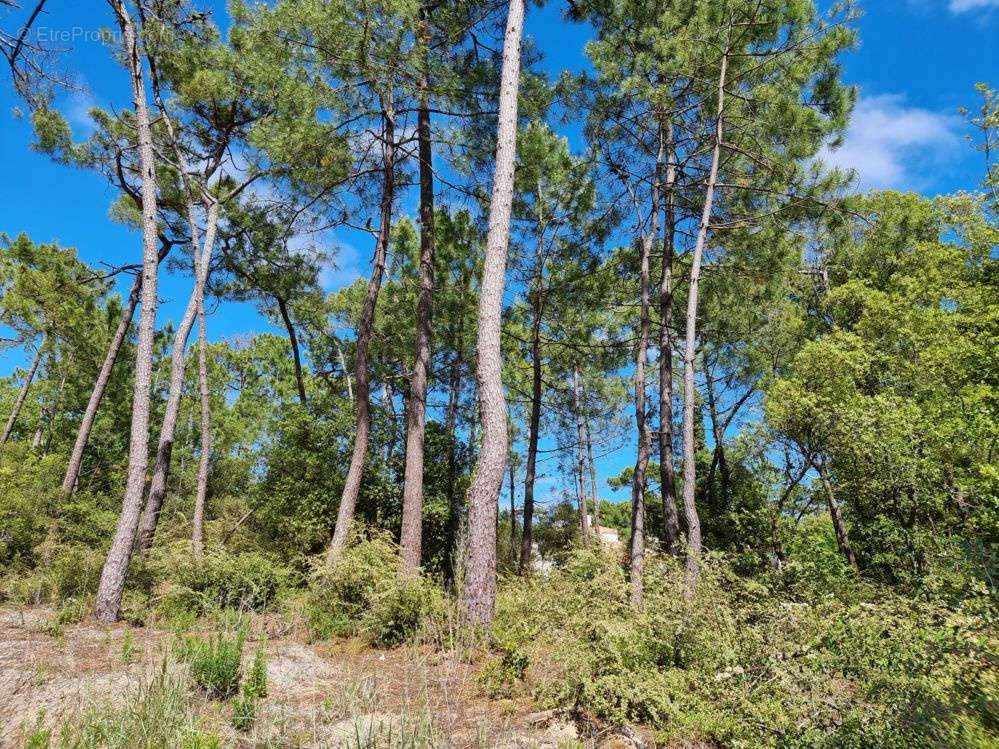 Terrain à SAINT-JEAN-DE-MONTS