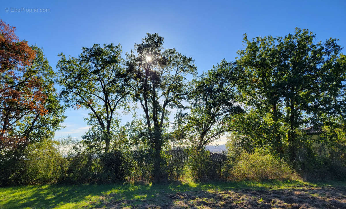 Terrain à LABEGE