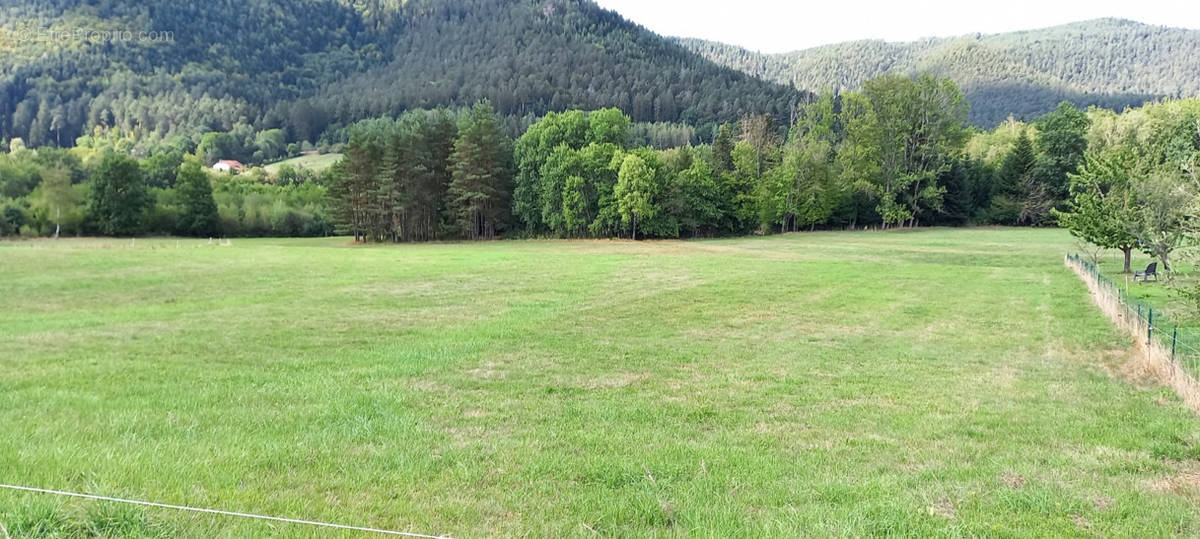 Terrain à SAINT-DIE-DES-VOSGES