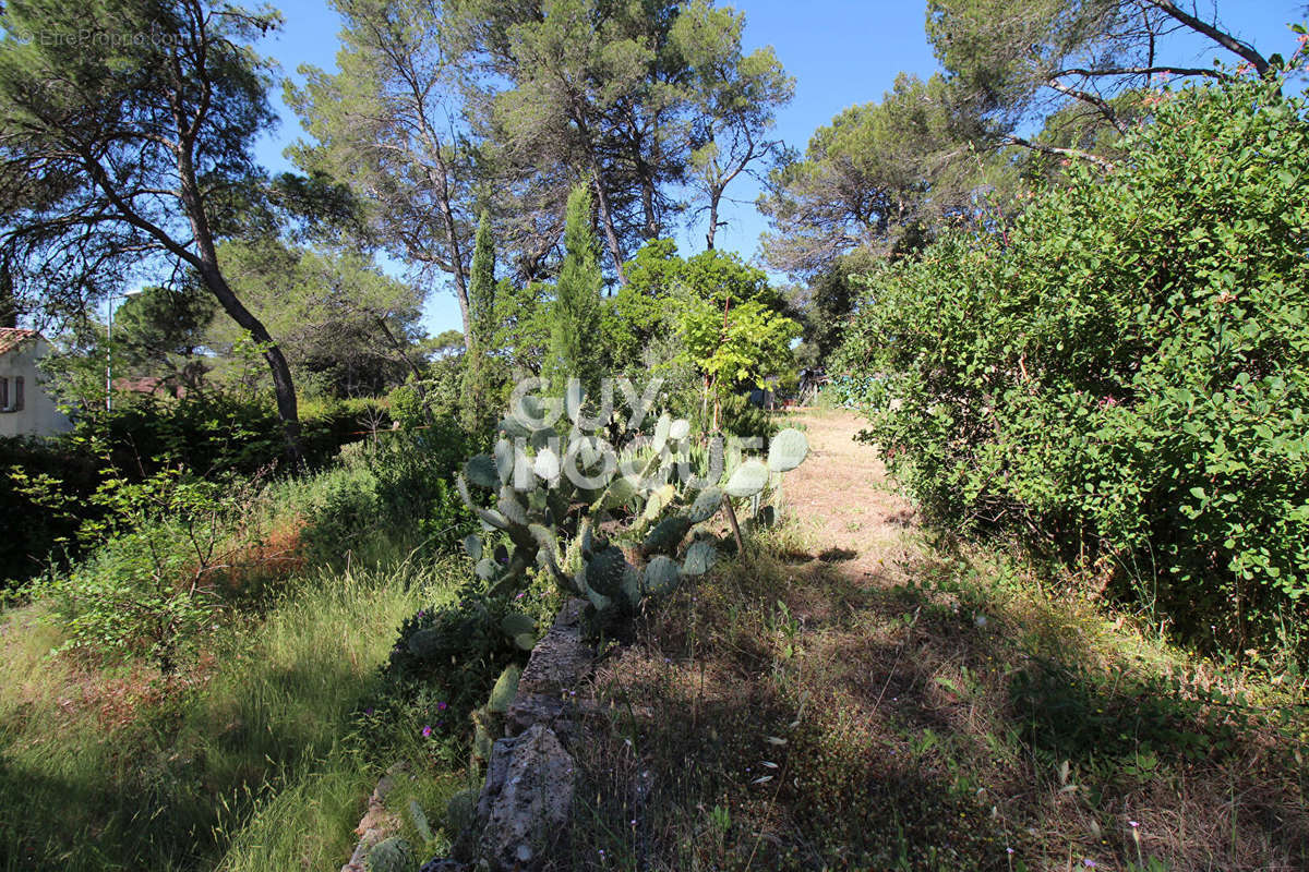 Terrain à CAVEIRAC