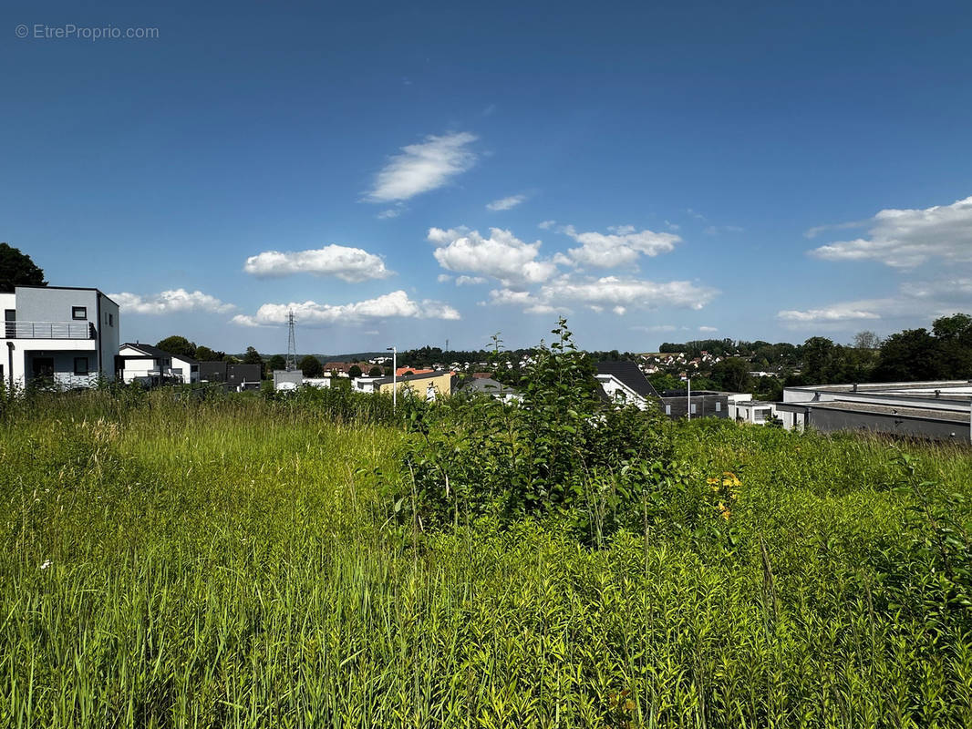 Terrain à ALTKIRCH