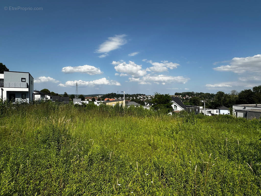 Terrain à ALTKIRCH