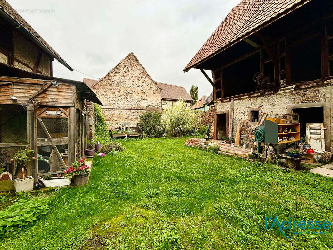 Appartement à SAINTE-CROIX-EN-PLAINE