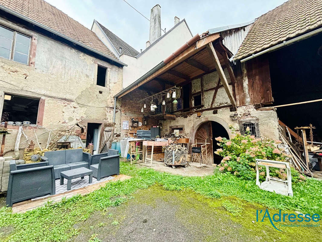 Appartement à SAINTE-CROIX-EN-PLAINE