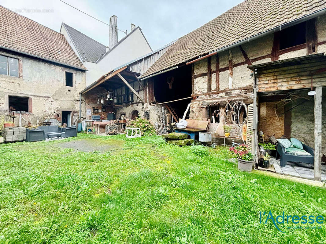 Appartement à SAINTE-CROIX-EN-PLAINE