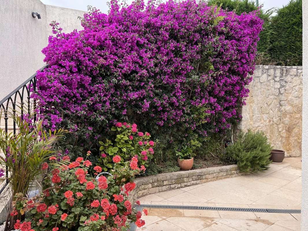 Maison à VILLENEUVE-LOUBET