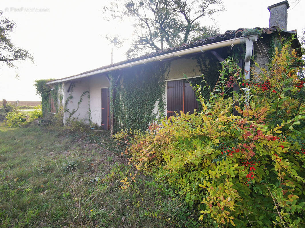 Maison à SOMMIERES-DU-CLAIN