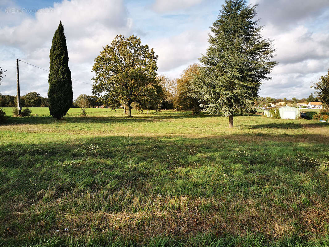 Maison à SOMMIERES-DU-CLAIN