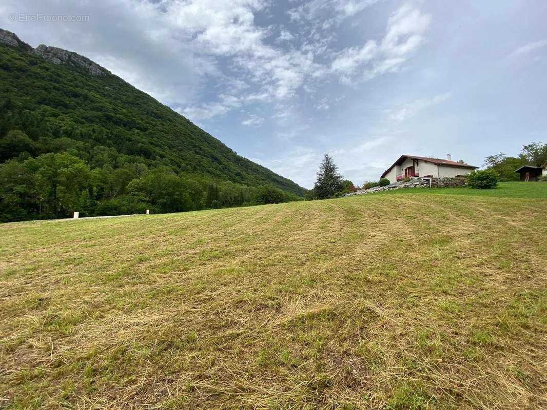 Terrain à POMMIERS-LA-PLACETTE