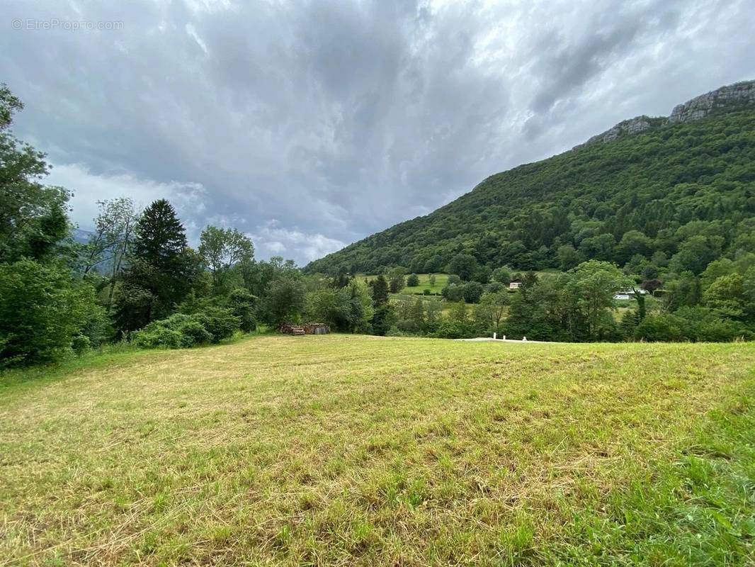 Terrain à POMMIERS-LA-PLACETTE