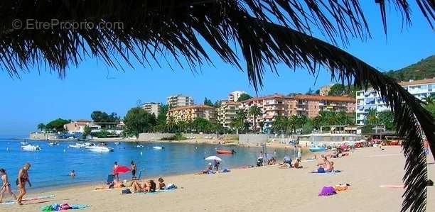 Appartement à AJACCIO