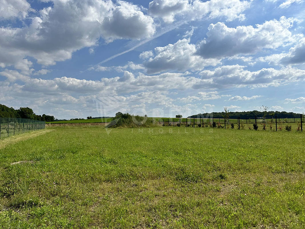 Terrain à SANCERRE