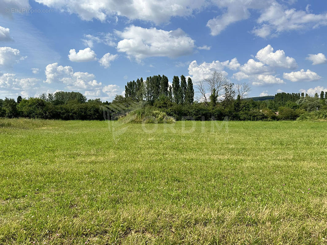 Terrain à SANCERRE