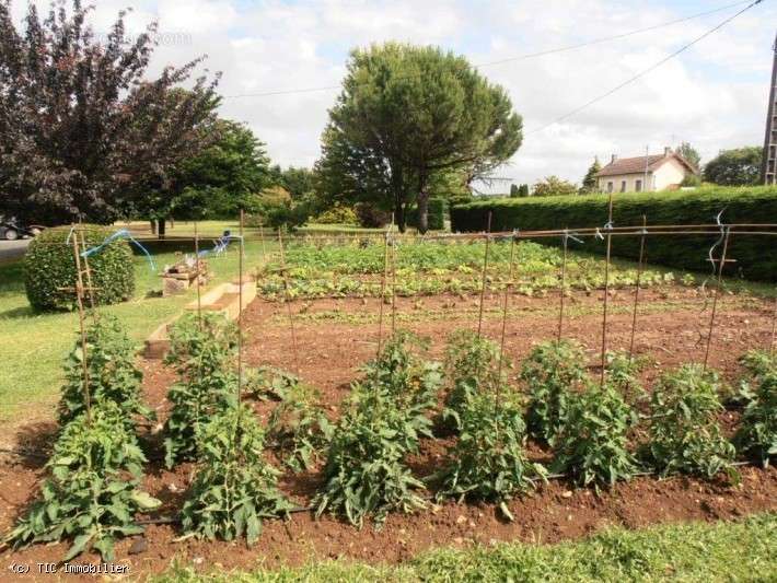 Maison à VERTEUIL-SUR-CHARENTE