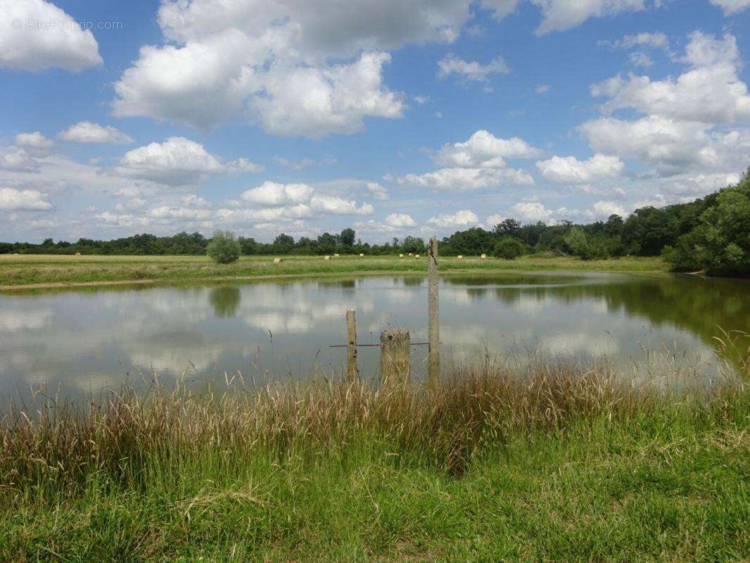 Terrain à LUREUIL