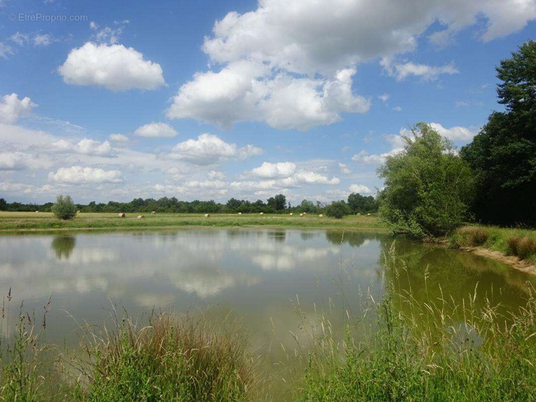 Terrain à LUREUIL