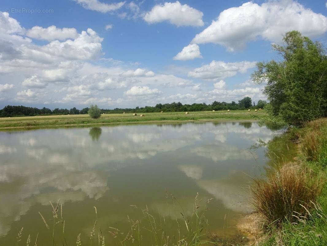 Terrain à LUREUIL