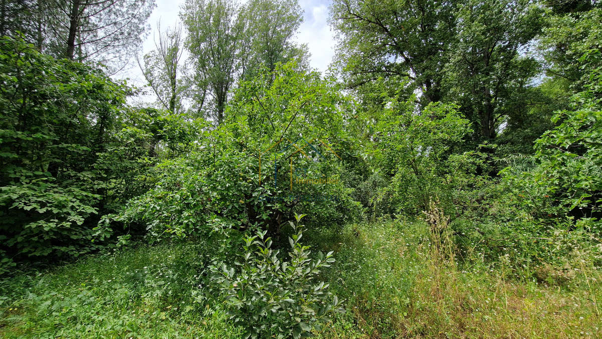 Terrain à GIGNAC