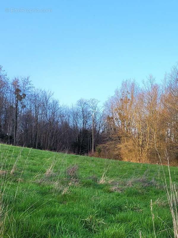 Terrain à NEUVILLE-SUR-AIN