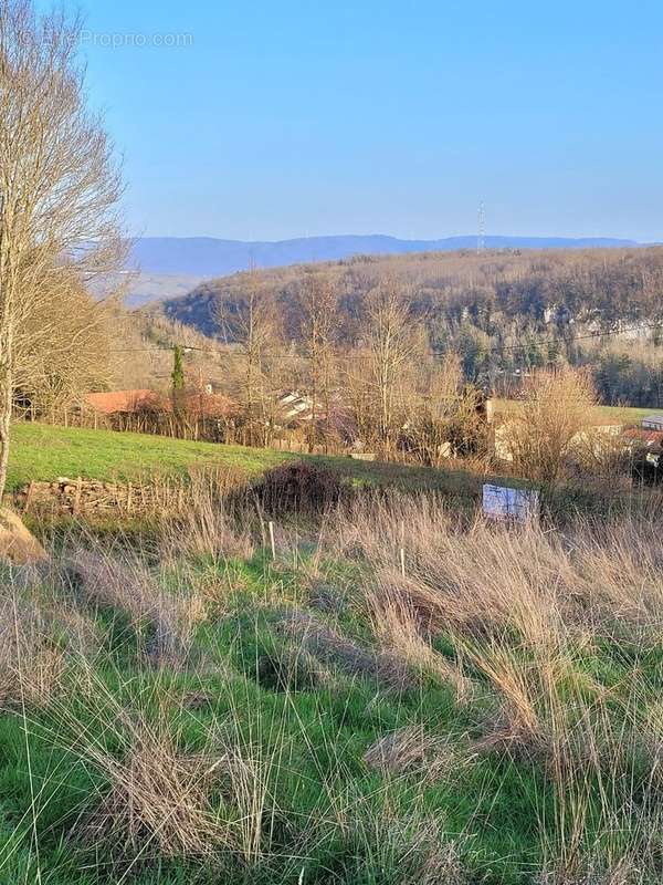 Terrain à NEUVILLE-SUR-AIN