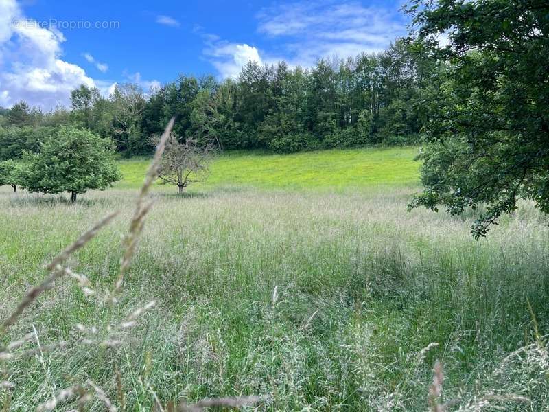 Terrain à BLAINVILLE-CREVON