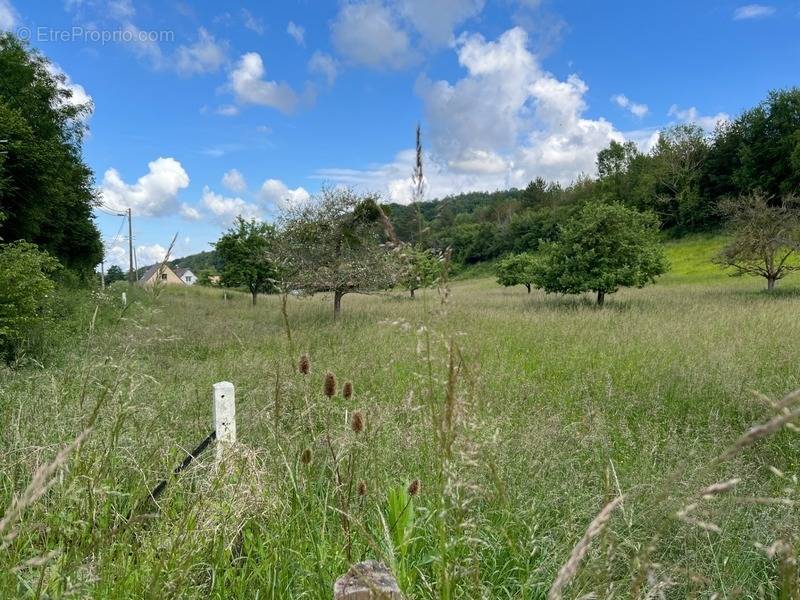 Terrain à BLAINVILLE-CREVON