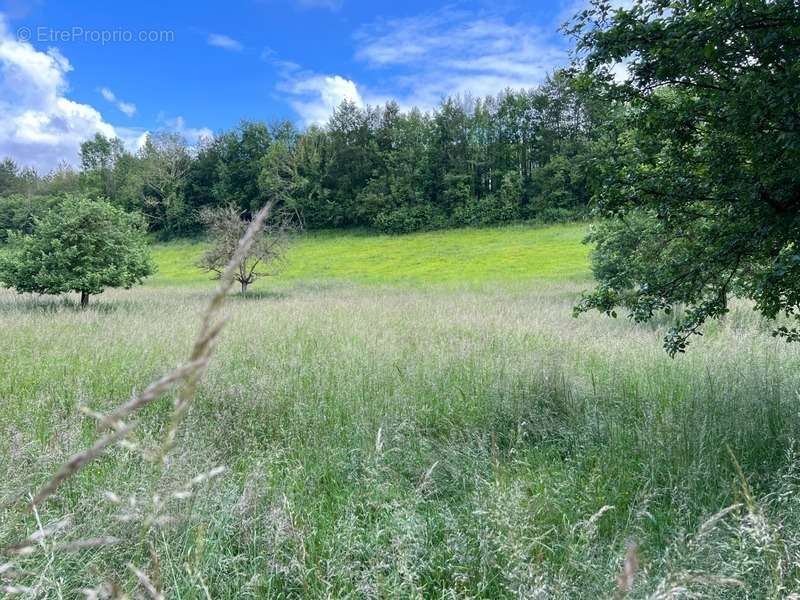 Terrain à BLAINVILLE-CREVON