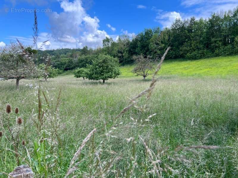 Terrain à BLAINVILLE-CREVON