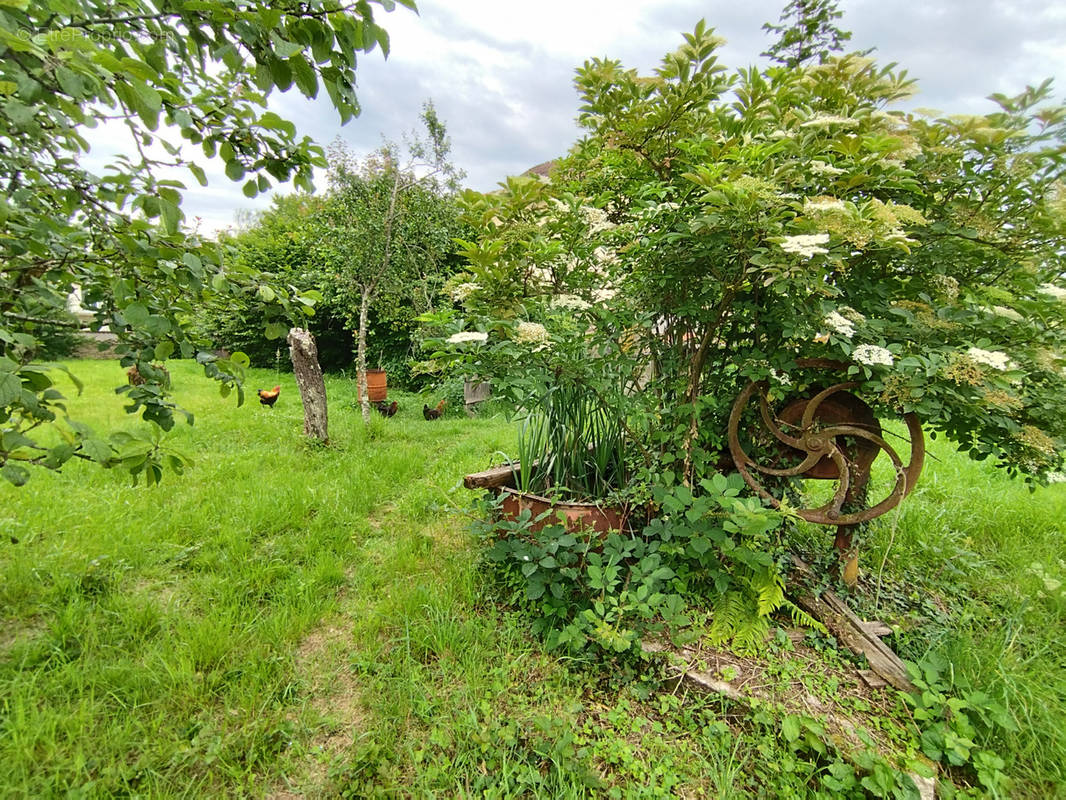 Terrain à COURPIERE