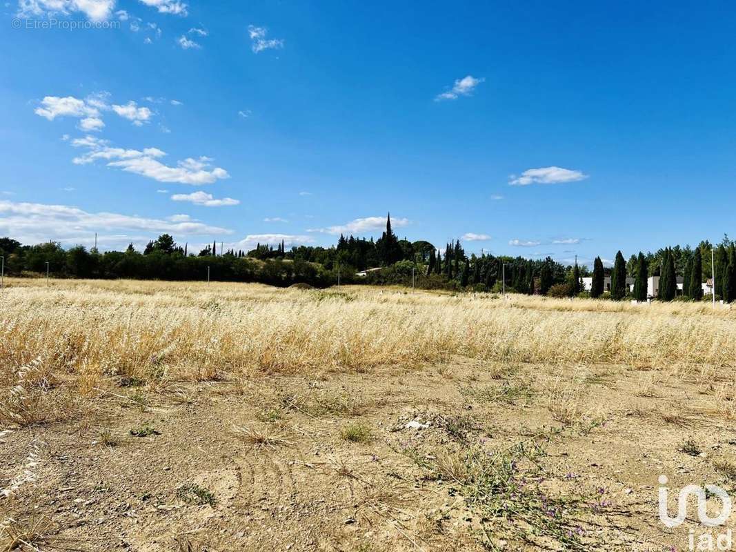 Photo 3 - Terrain à FERRALS-LES-CORBIERES