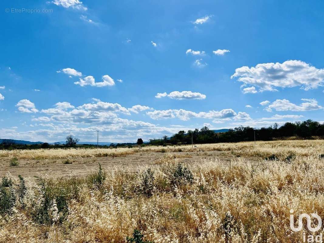 Photo 4 - Terrain à FERRALS-LES-CORBIERES