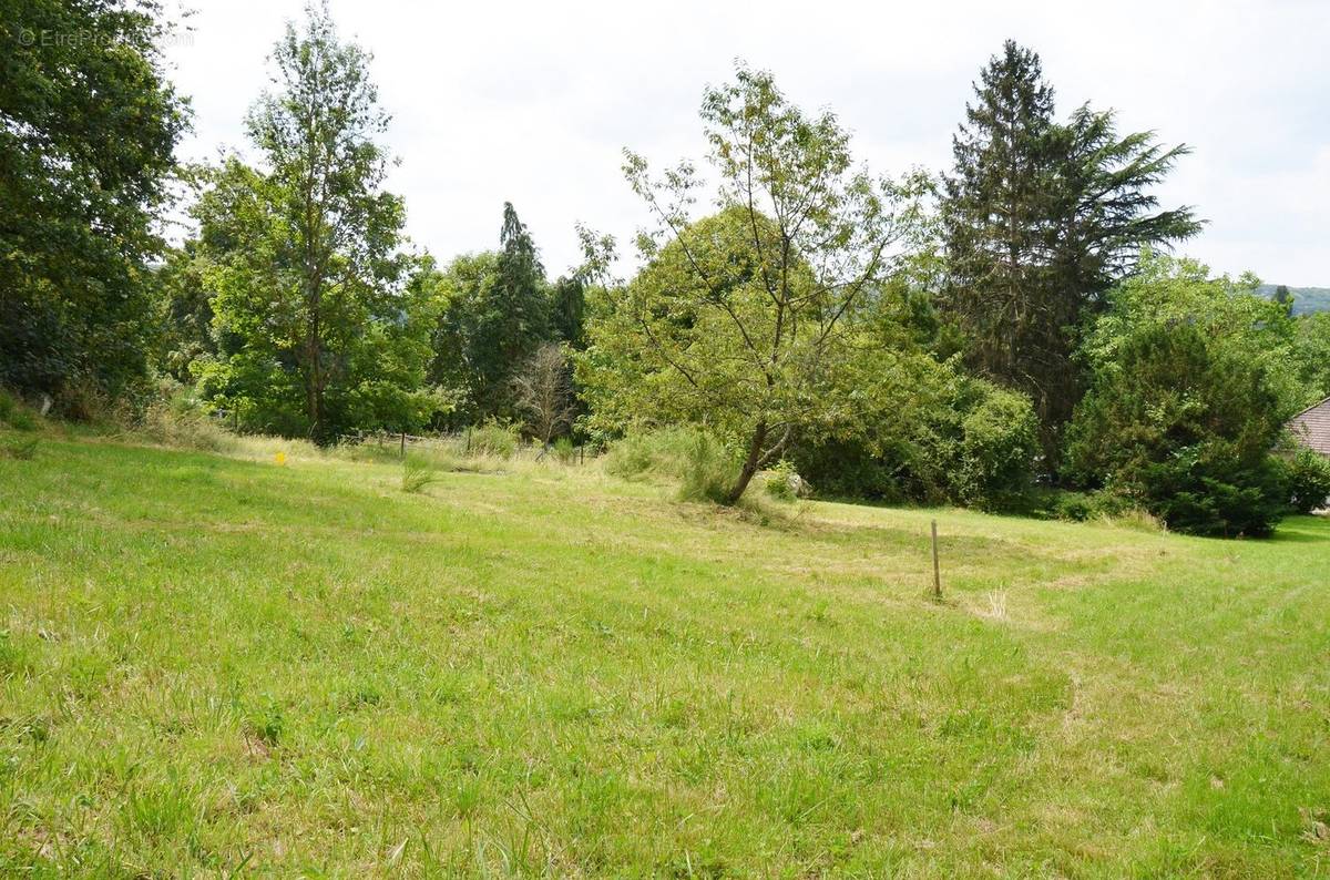 Terrain à SAINT-REMY-LES-CHEVREUSE