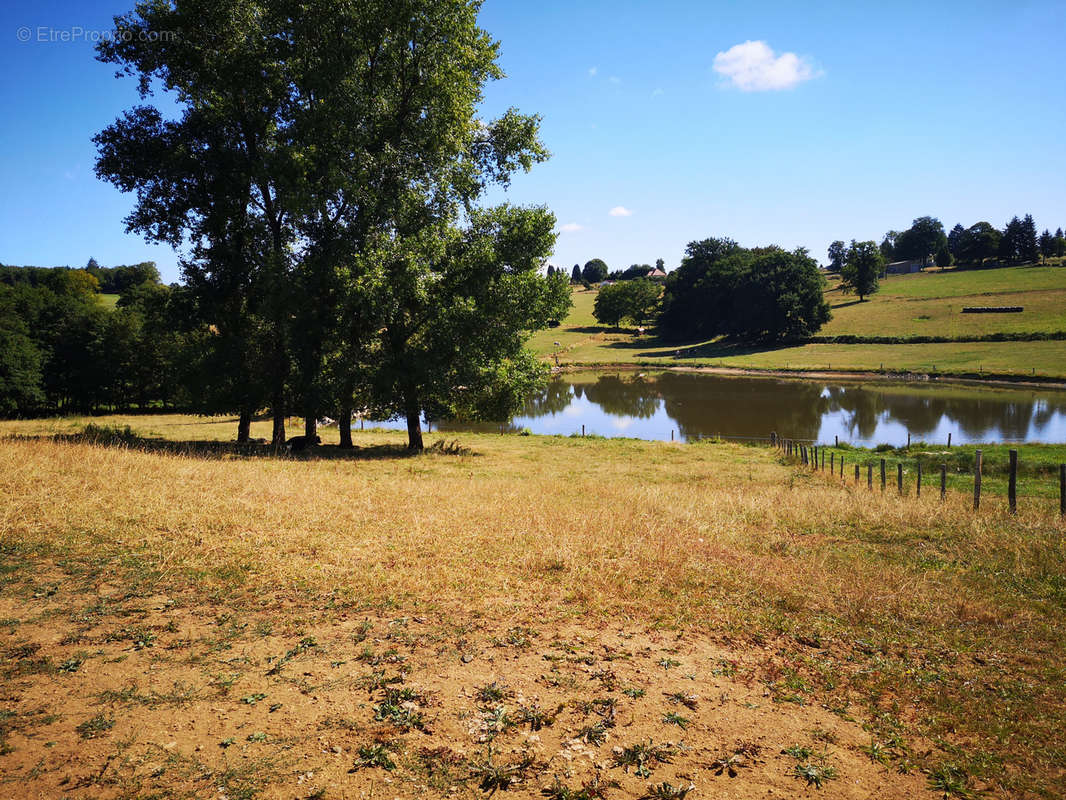 Terrain à SEILHAC