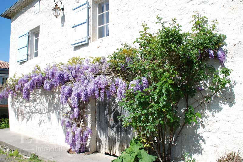 Maison à AGEN