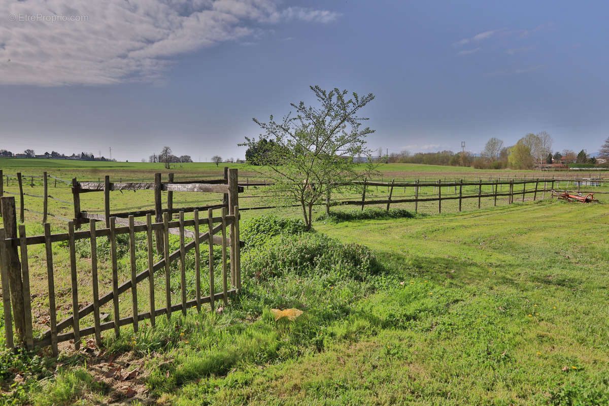 Terrain à PONT-EVEQUE