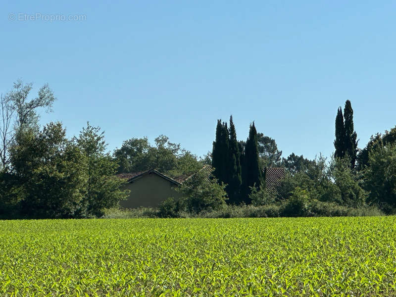 Maison à LE HOUGA