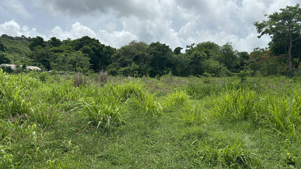 Terrain à LE DIAMANT