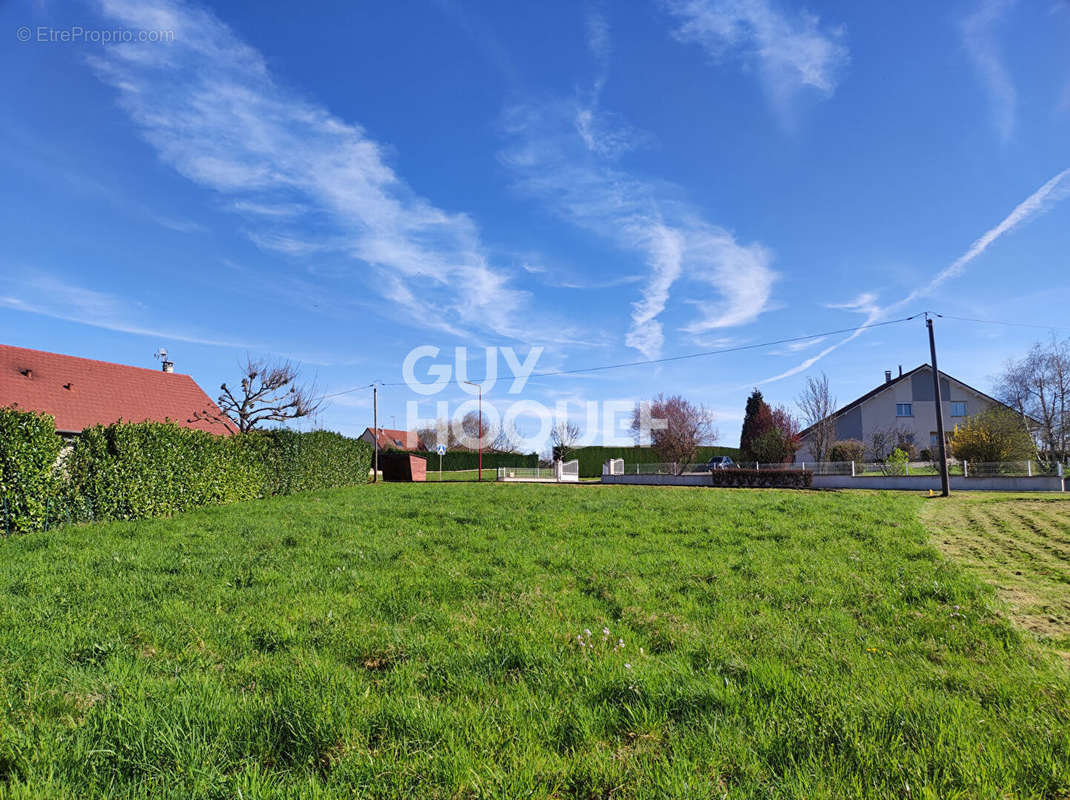 Terrain à MERCEY-LE-GRAND