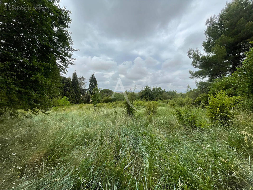 Terrain à VILLEPINTE