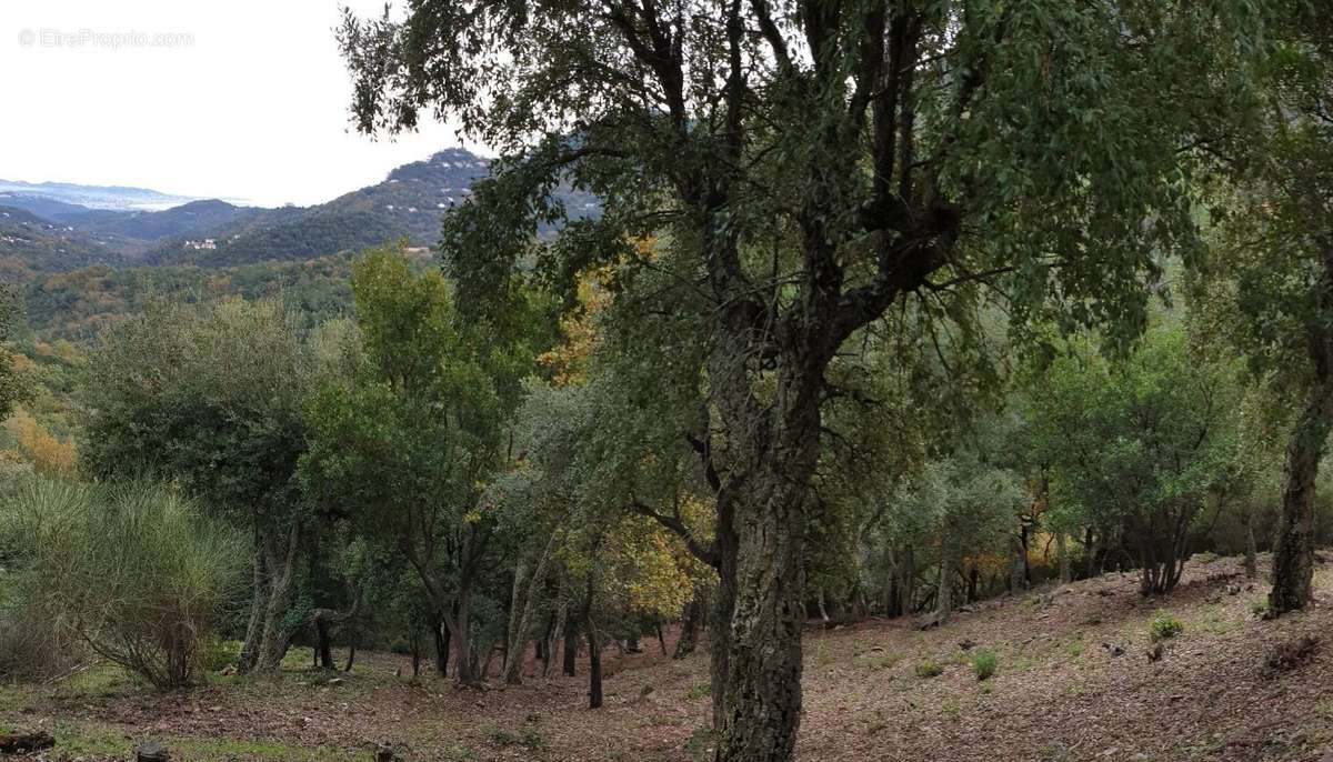 Terrain à LES ADRETS-DE-L&#039;ESTEREL